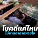 ตีเนียนเจาะช่องลับ-ซุก-15-แรงงานต่างชาติ-ในรถขนผักกาดขาว