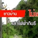 ฝนฟ้าอากาศ-15-มีค.65